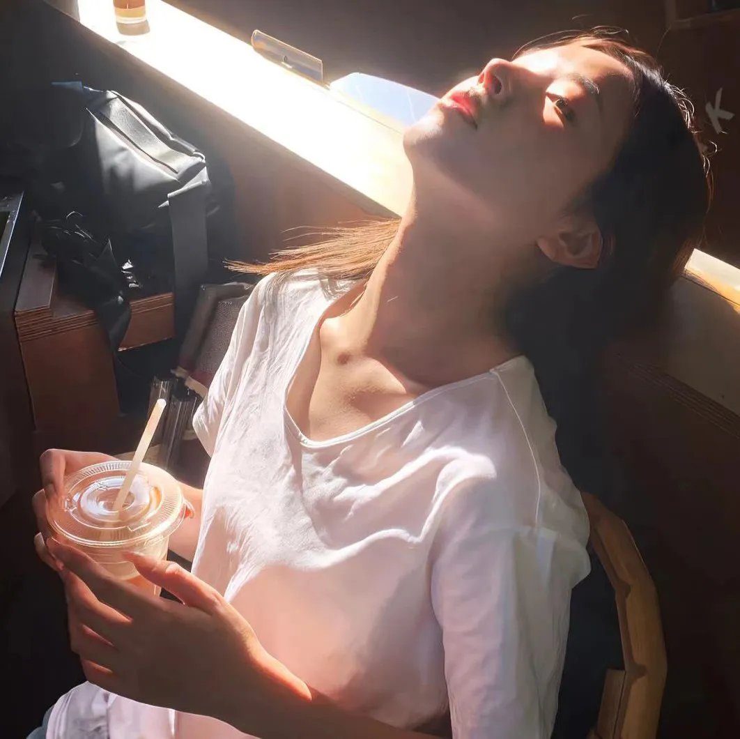 橄榄树下无和平